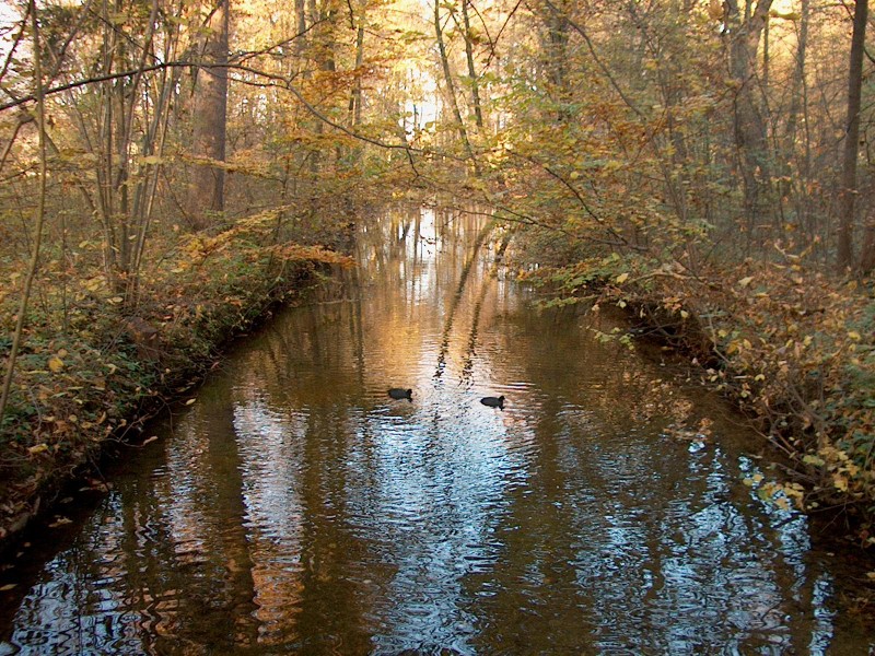 Nyphenburger Park 047 